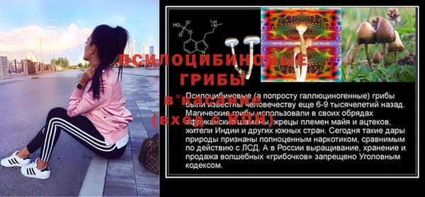 бутират Елабуга