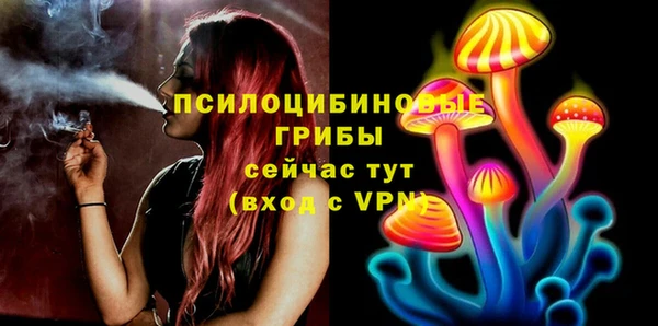 мескалин Ельня