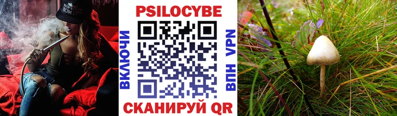Галлюциногенные грибы MAGIC MUSHROOMS  Купить  Калязин 